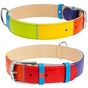 Нашийник для тварин WAUDOG Glamour з QR паспортом "Веселка" L (3922) - зменшене зображення 1
