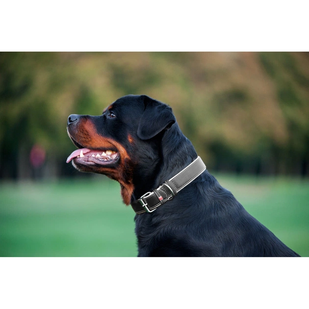 Нашийник для тварин WAUDOG Soft з QR паспортом M Ш 25 мм Д 38-49 см чорний (7202) - picture 4