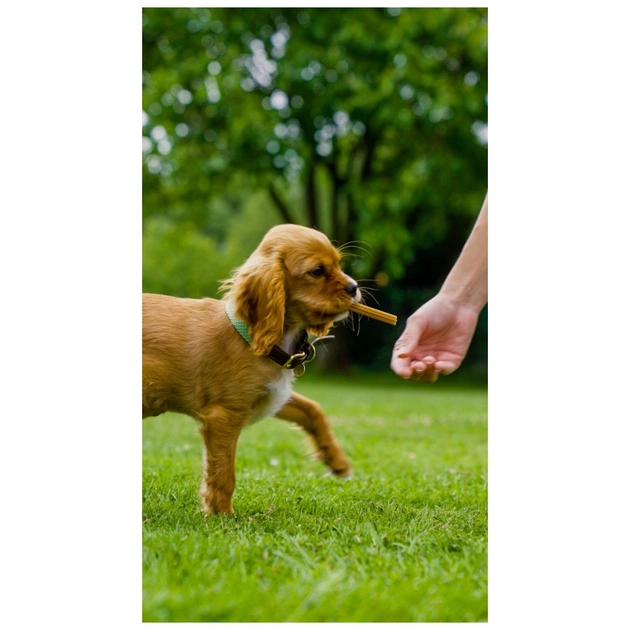 Лакомство для собак Whimzees Stix M 14 шт (8718627752524) - изображение 5