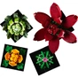 Конструктор LEGO Botanicals Сукуленти (10309-) - зменшене зображення 8