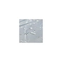 Туристичний килимок Uquip для пікніка Scotty XXL Petrol/Grey (243103) (DAS303240) - зменшене зображення 12