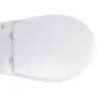 Інсталяція Grohe для унітаза 5 в 1 Rapid SL (39586000) - зменшене зображення 5