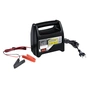 Зарядний пристрій для автомобільного акумулятора Bottari 6A 6V/12V з амперометром (28107-IS) - зменшене зображення 1