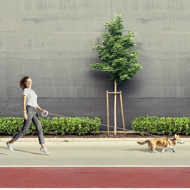 Повідець для собак WAUDOG R-leash світловідбиваюча стрічка XS-M до 40 кг 2.9 м білий (812715) - picture 6