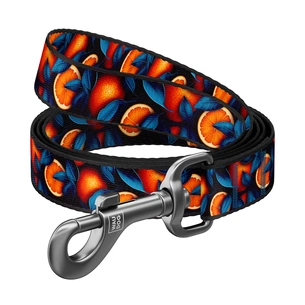 Повідець для собак WAUDOG Nylon "Апельсини" L-XXL, Ш 25 мм, Д 200 см (759-4054) зображення 1