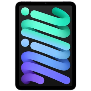 Планшет Apple iPad mini 2021 Wi-Fi 256GB, Space Grey (MK7T3RK/A) зображення 1