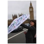 Зонт Fulton L354-042328 Minilite-2 London Map (L354-042328) - уменьшенное изображение 6