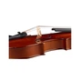 Скрипка Stentor Graduate Violin Outfit 3/4 (1542C) - зменшене зображення 6