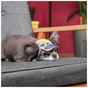 Кепка для тварин Pet Fashion Tony L (4823082442126) - зменшене зображення 3