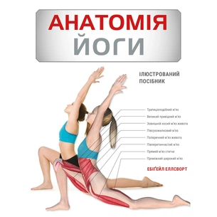 Книга Анатомія йоги. Ілюстрований посібник - Ебіґейл Еллсворт BookChef (9786175485156) picture 1