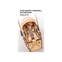 Коляска Kidilo 2в1 Haolaifu H3 Beige бежева (692870766409) (1195569) - зменшене зображення 5