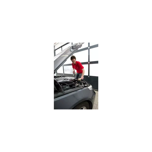 Автомобільний очисник Sonax двигуна Motor+Kaltreiniger 10 л (607600) - picture 3