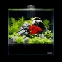 Акваріум Aqualighter набір DAQUARIUM Pico Set 170 мм 5 л (7141) - уменьшенное изображение 6