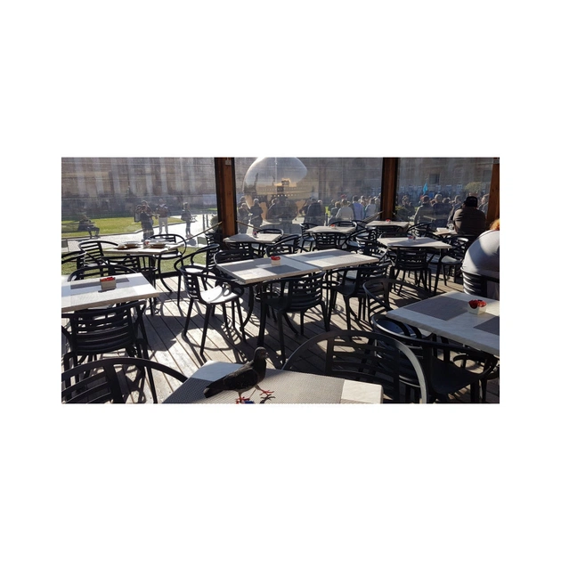 Кухонний стілець PAPATYA mambo, біле (2326) - picture 5