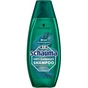 Шампунь Schauma Men Проти лупи М'ята та Лемонграс 400 мл (9000101284935) - зменшене зображення 1