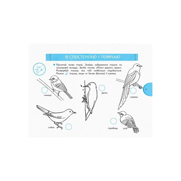 Робочий зошит НУШ Я досліджую світ. 1 клас. У 2 частинах. Частина 2 - О.В. Тагліна, Г.Ж. Іванова Ранок (9786170949806) - изображение 5
