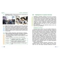 Підручник Здоровя, безпека та добробут. Інтегрований курс для 6 класу - О.В. Тагліна Ранок (9786170985132) - зменшене зображення 5