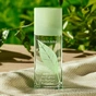 Парфумована вода Elizabeth Arden Green Tea 100 мл (0858052688482/085805268848) - зменшене зображення 3
