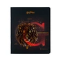 Зошит Kite Harry Potter 48 аркушів, клітинка (HP24-259) - зменшене зображення 3