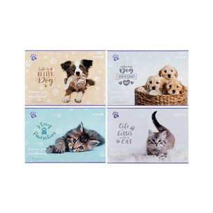 Альбом для малювання Kite Rachael Hale, 12 аркушів (R25-241) зображення 1