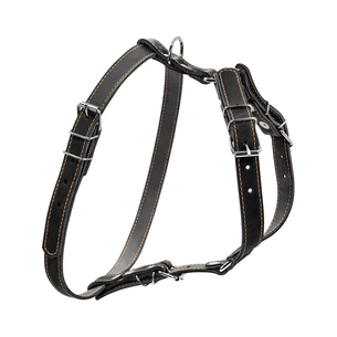 Шлея для собак Collar одинарна для малих та середніх порід Ш 20 мм А:40-56 см В:57-65 см чорна (06361) зображення 1