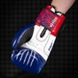 Боксерські рукавички Phantom Muay Thai Blue 14 унцій (PHBG2496-14) - зменшене зображення 8