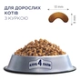 Сухий корм для кішок Club 4 Paws Преміум. Зі смаком курки 14 кг (4820083909146) - зменшене зображення 3
