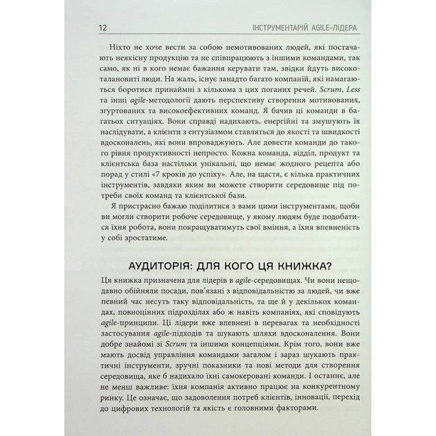 Книга Інструментарій agile-лідера - Пітер Конінг Фабула (9786175220900) - picture 12