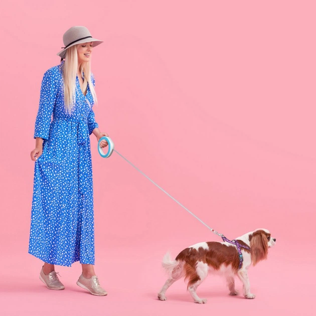 Повідець для собак WAUDOG R-leash світловідбиваюча стрічка XS-M до 40 кг 2.9 м блакитни (81272) - picture 8