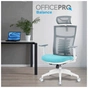 Офісне крісло OfficePro Balance OC550-W-DG-BL (OC550-W-DG-BL) - зменшене зображення 3