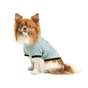 Футболка для тварин Pet Fashion Oscar XS2 блакитна (4823082441372) - зменшене зображення 3