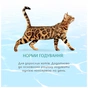 Консерви для котів Optimeal Beauty Podium смугастий тунець у соусі з кальмарами 70 г (4820215366243) - зменшене зображення 4