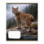 Зошит 1 вересня Into the wild А5 48 аркушів лінія (769131) - зменшене зображення 6