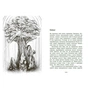 Книга Гонихмарник - Дара Корній Readberry (9786170988089) - зменшене зображення 3