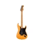 Електрогітара Fender American Pro II Limited Edition Stratocaster HSS HT Aged Natural (301214) - зменшене зображення 1