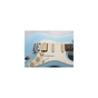 Електрогітара FGN Odyssey Boundary Series Mint Blue (BST-HSS-R/MBU) - зменшене зображення 3