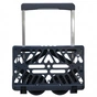 Сумка-візок Rolser Plegamatic Original MF 40 л Negro (928592) - уменьшенное изображение 5