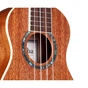 Укулеле Cordoba 15SM - зменшене зображення 6