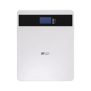 Батарея LiFePo4 PowerPlant 25.6V 100Ah 2560Wh (NV823185) изображение 1