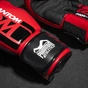 Боксерські рукавички Phantom APEX Red 10 унцій (PHBG2729-10) - зменшене зображення 8