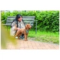 Шлея для собак Trixie CityStyle H-harness Бавовна XS–S 30–44 см 10 мм Світло-зелена (4053032682597) - зменшене зображення 4