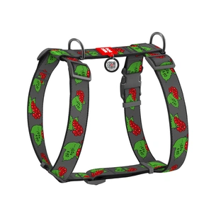 Шлея для собак WAUDOG Nylon анатомічна H-подібна з QR-паспортом "Калина" пластиковий фастекс XL (323-0228) изображение 1
