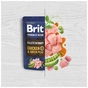 Вологий корм для собак Brit Premium Fillets in Gravy Multipack для малих порід філе в соусі Мультипак 12 шт х 85 г (8595602572472) - зменшене зображення 3