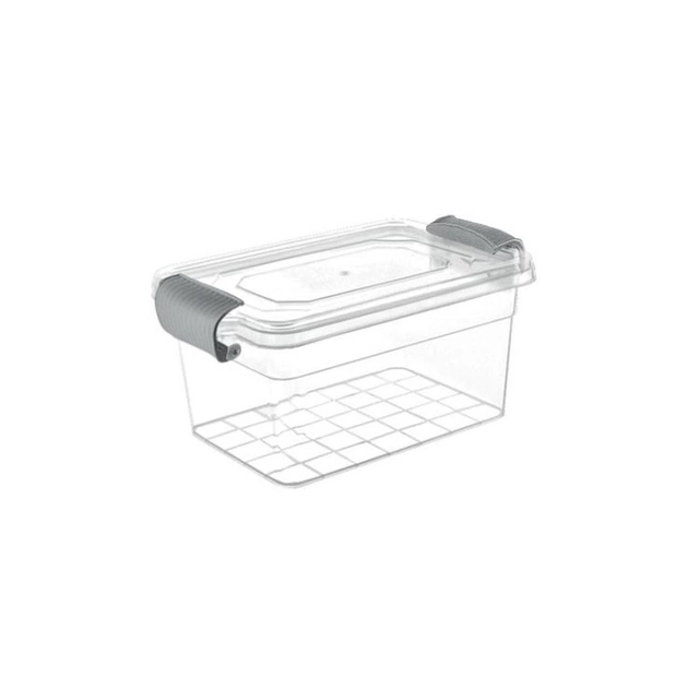 Харчовий контейнер Violet House Family Box Grey 1 л (0461 FAMILY BOX прям. 1 л) - зображення 1