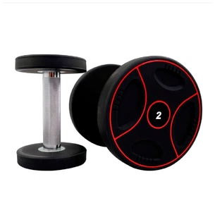 Гантель Stein з поліуретановим покриттям 2 кг (DB3110-2) зображення 1