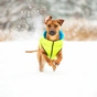 Курточка для тварин Airy Vest двостороння XS 30 салатово-блакитна (1592) - зменшене зображення 5