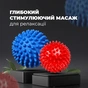 Масажний м'яч PowerPlay PP-4341 Massage Ball набір 2 шт (PP_4341) - зменшене зображення 8