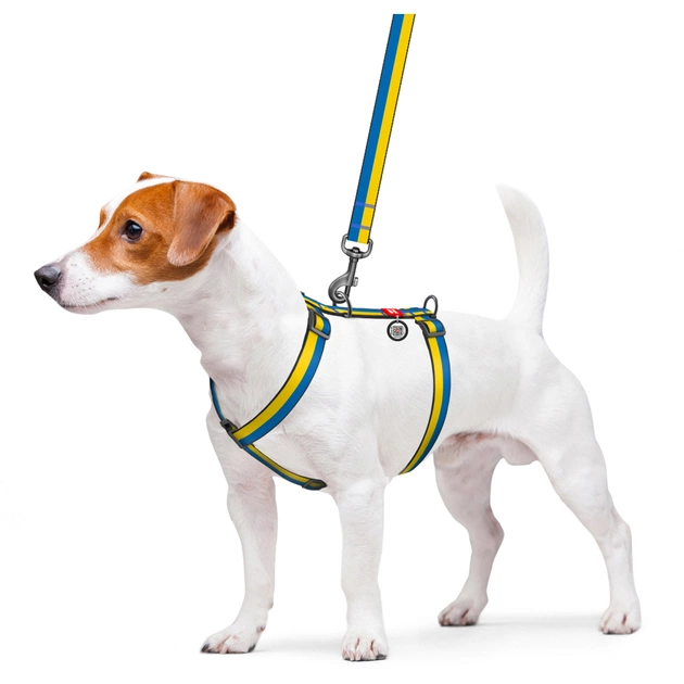 Шлея для собак WAUDOG Nylon з QR паспортом анатомічна H-подібна "Colors of freedom" L (5160-4020) - picture 3