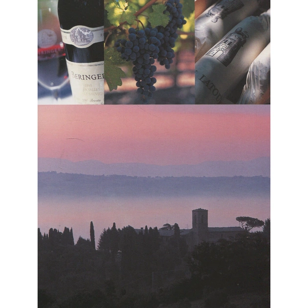 Книга Вино. Курс Ендрю Джеффорда Vivat (9789669426833) - picture 5