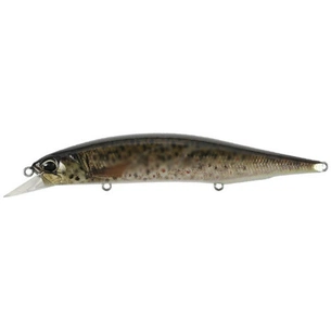 Воблер DUO Realis Jerkbait 120SP Pike 120mm 17.8g CCC3815 Brown Trout N (34.27.86) зображення 1